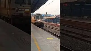 Furious Gondwana Express With WAP-7 😨🔥 #shorts