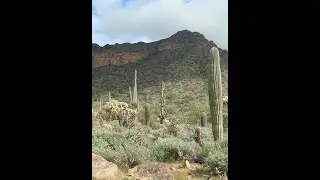 Hiking The Wind Cave