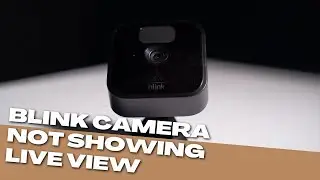 Blink Camera не показывает изображение в реальном времени на главном экране: попробуйте это!