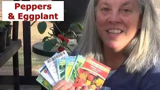 Seeds to start early: Peppers and Eggplant