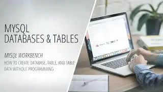 MySQL Workbench - How to Create Database, Table, and Table Data Without Programming [MySQL]