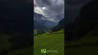 Switzerland 🇨🇭🏔️🌲#swiss #swissalps #travel #suisse #switzerland #mountains #schweiz #isvi&ccedil;re #alps
