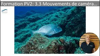 3.3 Formation Plongeur Vidéaste Niveau 2 :  Les mouvements de caméra et les angles de prise de vue.