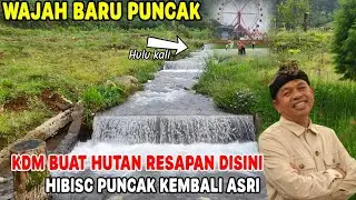 SETELAH PENERTIBAN SATU TAHUN YANG LALU || PUNCAK BERUBAH#dedimulyadi 