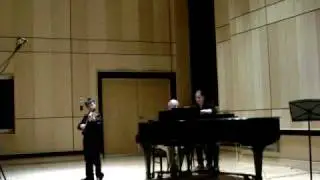 F.Drdla -- Concertino op.225(Allegro)