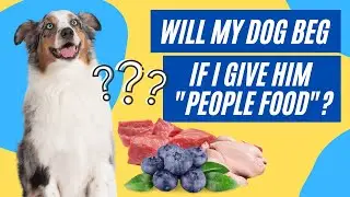 Will my dog beg if I give him &ldquo;people food&rdquo;?
