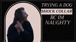 PUTTING ON A DOGS SHOCK COLLAR