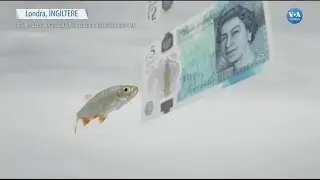 Sterlin Dolar Karşısında Tarihinin En D&uuml;ş&uuml;k Seviyesine İndi| VOA T&uuml;rk&ccedil;e