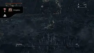Bloodborne: Oh my amygdala