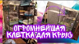 НОВАЯ ОГРОМНАЯ КЛЕТКА ДЛЯ КРЫС FURET TOWER