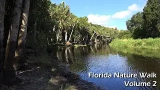 FLORIDA NATURE WALK - VOLUME 2