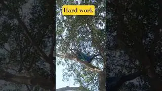 Thakida Thakida Thaa 💪 | Akshitha Ashok #shorts#AkshithaAshok #jbrsuvetha