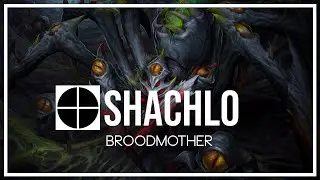 EXTREMUM.SHACHLO - 20 MINUTE BROODMOTHER GG - NEW ITEM BUILD OFFLANE - PINNACLE CUP DOTA 2
