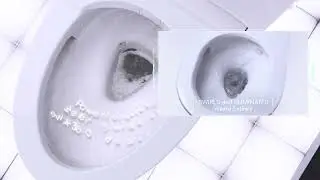 TORNADO FLUSH &ndash; TOTO's  Powerful & Hygienic Toilet Flushing Technology