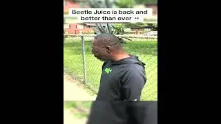 beetlejuice  Not in mode baby! #thecuppa  #beetlejuice #beetlejuiceusa #Cuppa #photography #funny