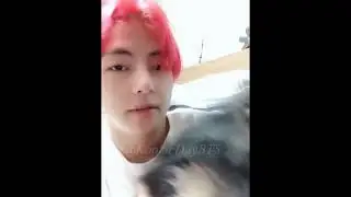 BTS BEING SOFT FOR YEONTAN #bts #taehyung #yeontan #btsarmy ☺️☺️💜