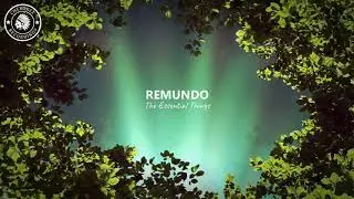 Remundo - The Essential Things