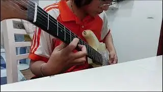 “Smells Like Teen Spirit” - Bảo Anh trả bài tác phẩm tại T&T Class #guitardien #smellliketeenspirit 