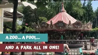 New discovery: park, pool and zoo in one! | Plaswijckpark, Rotterdam