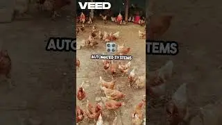 Start Your AI Chicken Farm in 2025 | Low-Cost, High-Profit Poultry Business for Beginners
