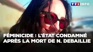F&eacute;minicide : l'&Eacute;tat condamn&eacute; apr&egrave;s la mort de Nathalie Debaillie｜TF1 INFO