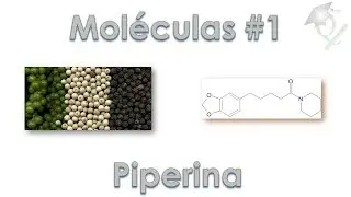 Uma Mol&eacute;cula por Dia #1 Piperina