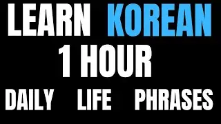 Learn Korean | Korean Phrases for Daily Life | 1 Hour Korean Lesson