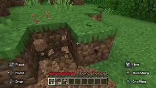 My sister plays Minecraft ￼
