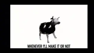 Polish cow English text