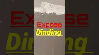 Dinding Expose Natural #shorts