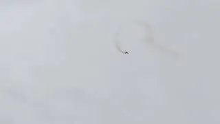 Allans Pilot Practial Test