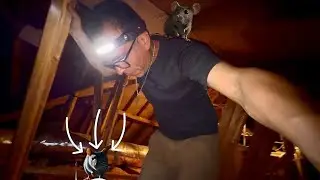 Rats Chewed My Internet Cable In USA! 😩 AT&T Fiber DIY Installation | This Indian