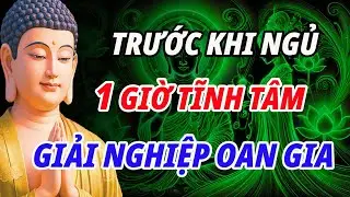 Trước Khi Ngủ – 1 Giờ Tĩnh Tâm Giải Nghiệp Oan Gia Nhiều Đời | PHẬT PHÁP TỪ QUANG
