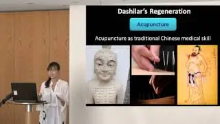 Liu Chang - Socio‐cultural Space and Sustainable Revitalization of Historic District in Dashilar