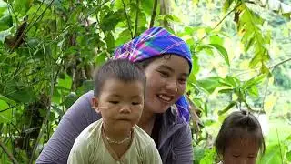 How to Cook Crispy Fish for Lunch - Harvest Giant fish pond on Rainy days to Sell at Market