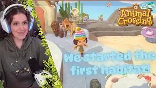 Biologist Plays Animal Crossing! Decorating our First Habitats today!