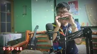 BRIDGE OVER TROUBLED WATER - A 12-Hole Chromatic Harmonica Cover with Tabs