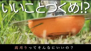 高刈りってそんなにいいの?