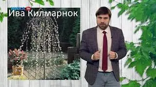 Плакучие формы растений