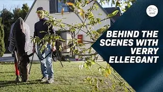 Will Verry Elleegant Bounce Back?