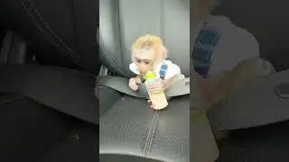 Baby Monkey gets car sick