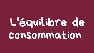 l'&eacute;quilibre de consommation, choix optimal, la quantit&eacute; d'&eacute;quilibre et la combinaison... application