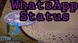 Malayalam WhatsApp Status | STFM Movie |