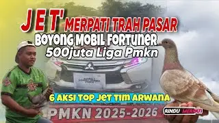 Edisi Spesial 6 Aksi Jos🔥Jet Tim Arwana Sang Juara liga pmkn 500juta