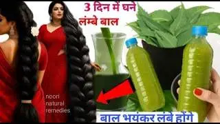 Neem Shampoo at Home |100% Natural Chemical-Free Shampoo| Hair Fall, Dandruff & Fast Growth Solution