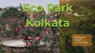 Explore ECO Park Kolkata #kolkata #culturalcapital #ecopark #explore #india #youtube #travel 