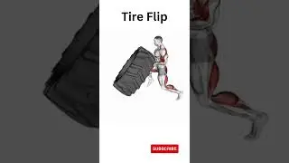 Tire Flip &raquo; Workout Planner | Health Fitness @shorts