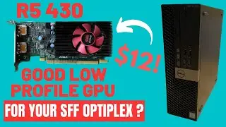 Супербюджетный низкопрофильный графический процессор (R5 430)