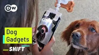 New Inventions for your Dog | InventionTime