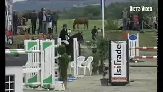 Pikeur Dylon Markus Brinkmann